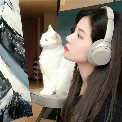 特遣队出击
